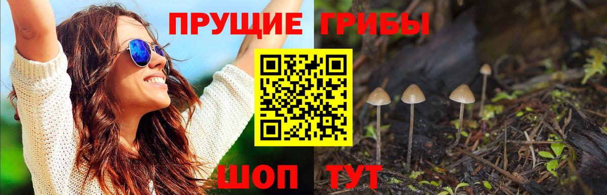 Псилоцибиновые грибы Psilocybine cubensis  Псилоцибиновые грибы прущие грибы  где найти наркотики  Ревда  Вход с VPN 