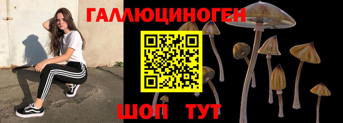 Псилоцибиновые грибы Magic Shrooms Ревда